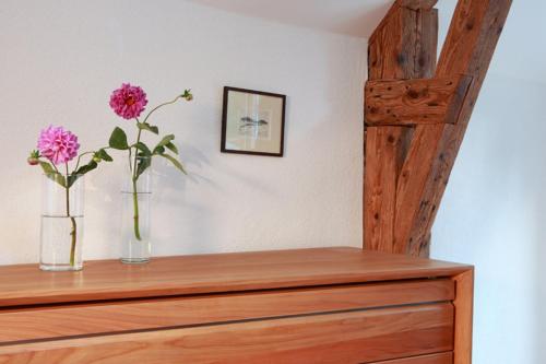 Fotografie z fotogalerie ubytování Appartement Violet v destinaci Plainfaing