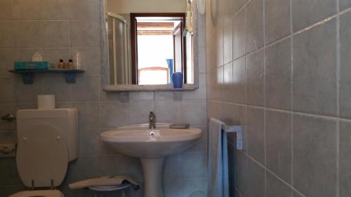 a bathroom with a sink and a toilet and a mirror at L'Oasi Bed and Breakfast di Franco e Paola in San Martino Canavese