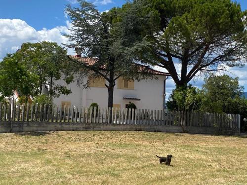 a dog walking in the grass in front of a house at Casa Amrita B&B in Teramo