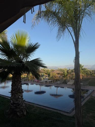 Piscina en o cerca de chez JM saida