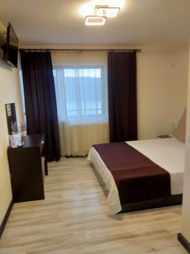 a bedroom with a bed and a desk and a window at Casa Vio in Cinciş