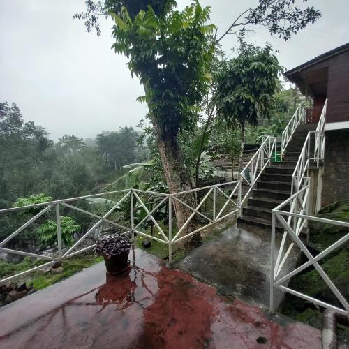 a staircase leading up to a house with a tree at Mionga in Santa Cruz