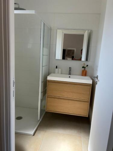 a bathroom with a sink and a shower at Le cocon de Malo in Lecci