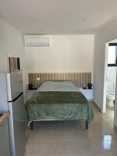 a bedroom with a bed with a green bedspread at Le cocon de Malo in Lecci