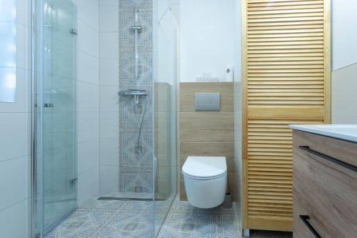 a bathroom with a toilet and a glass shower at Na Górce 13 in Polańczyk