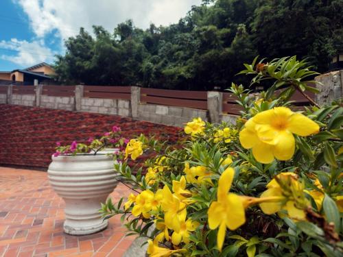 Zahrada ubytování Urban Escape - 1Br 1Bth Condo in Reduit, Rodney Bay, Gros Islet