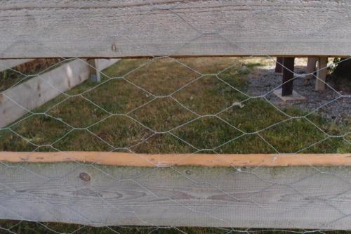 a chain link fence withgrass behind it at Ferienhaus S`bunde Heisle in Blaufelden
