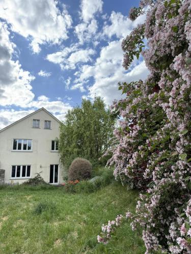a white house with pink flowers in the grass at Villa von EmMa in Rot am See
