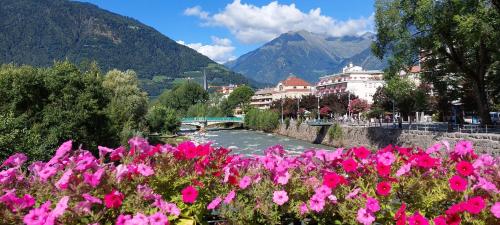 a bunch of pink flowers in front of a river at Marlingsuites - Vinea - Wieser Josef - Marling in Marlengo