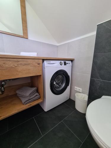 a bathroom with a washing machine and a toilet at Ferienwohnung Schupfer - Free Parking, Seenähe & 5 Skigebieten in Aigen im Ennstal