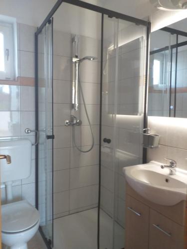 a bathroom with a shower and a toilet and a sink at Apartments Golić in Biograd na Moru