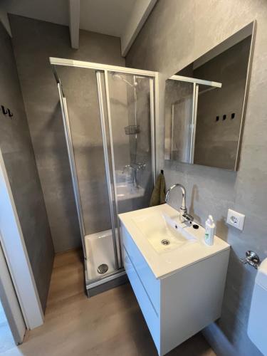 a bathroom with a sink and a shower at B&B de Bosrand in Emmen