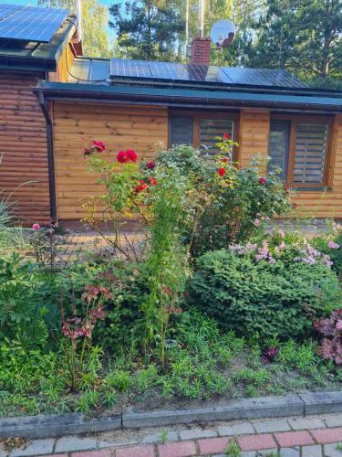 a garden in front of a house with flowers at Leśna Polana- Kompleks Domków Mieszkalnych in Kamionka