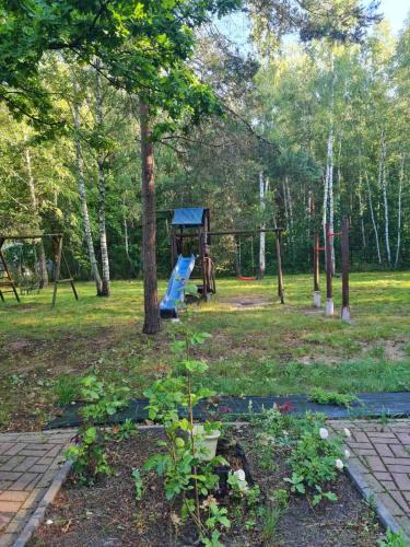 a park with a playground with a blue slide at Leśna Polana- Kompleks Domków Mieszkalnych in Kamionka