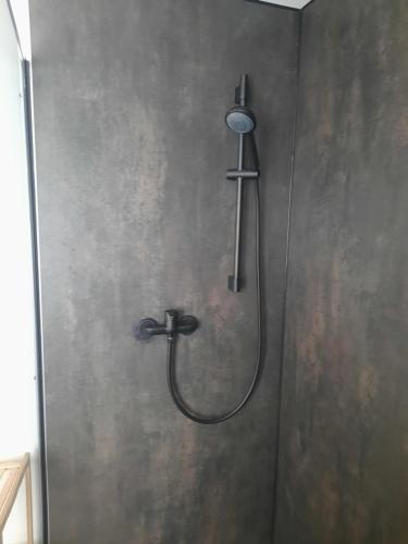 a shower with a shower head on a wall at A7 J22 FeWo Michelangelo NETFLIX Fußgängerzone in Eisenach