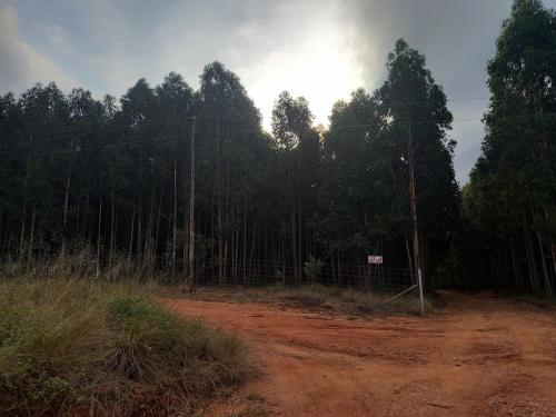Paysage naturel près de l'appartement