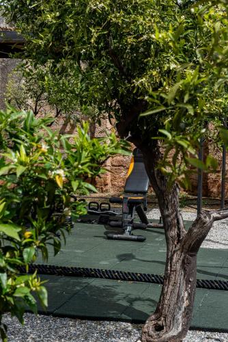 an office chair sitting next to a tree at Masseria Borgo San Marco in Fasano