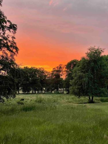 a tree in a field with a sunset in the background at Idyllically nice house on Bjärehalvön, Torekov! in Båstad