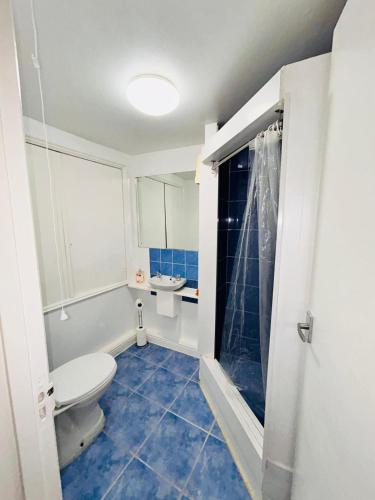 a bathroom with a toilet and a sink at Hidden Gem Apartment in Torquay