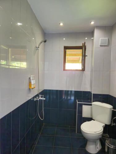 a bathroom with a toilet and a shower and a window at Hotel Saint Nedelya in Kolarovo