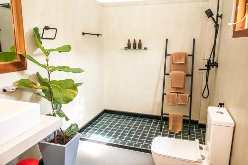 łazienka z prysznicem, toaletą i rośliną w obiekcie Calathea inn unawatuna w mieście Galle