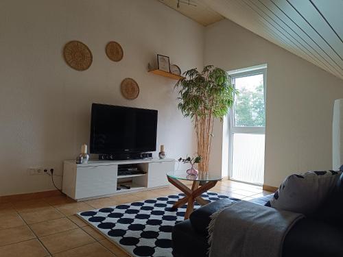 TV a/nebo společenská místnost v ubytování Ferienwohnung Mainzelmännchen