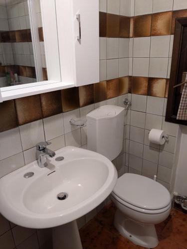エーネゴにあるCasetta Scriccioloの白いトイレと洗面台のあるバスルーム