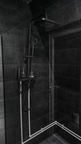 a shower with a shower head in a bathroom at DnD Mountain Escape in Holbav