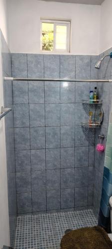 a shower with a glass door in a bathroom at Casa Palmer, con gran jardín in Totolapan