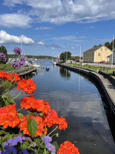 a river with flowers on the side of it at Vandrarhemmet Åmål in Åmål