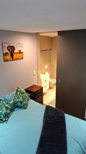 Gallery image of Wild Olive Court in Windhoek