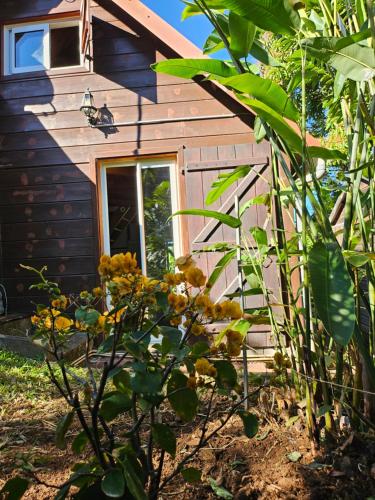 a log cabin with a window and a bush at Ti Palissandre in LʼEntre-Deux