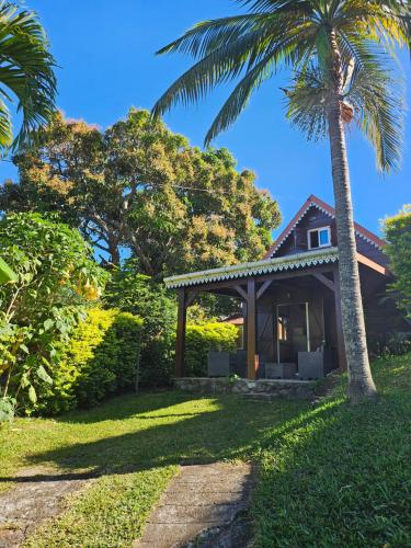a house with a palm tree in front of it at Ti Palissandre in LʼEntre-Deux