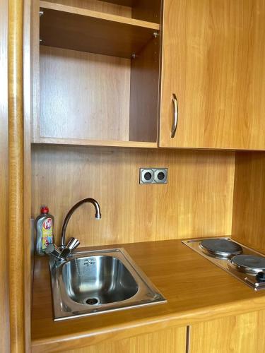 a kitchen with a stainless steel sink and wooden cabinets at Ferienwohnungen am Roland in Neustadt