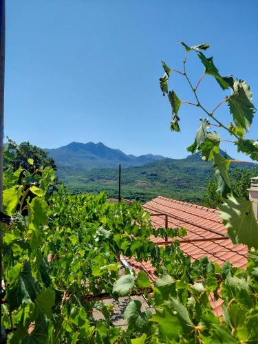 a view of a roof of a house with mountains in the background at Feel the village in Virpazar