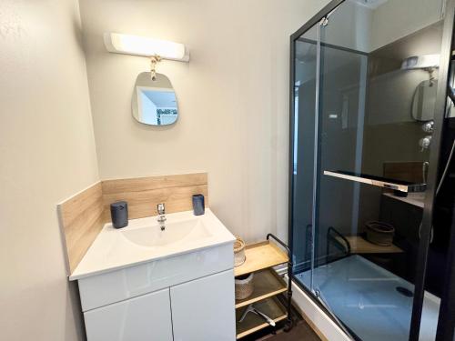 a bathroom with a sink and a shower at La Fleur Bleue - Cozy Apartment in Marck