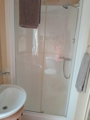 a bathroom with a shower and a toilet and a sink at Comfy caravan in Eyemouth in Eyemouth