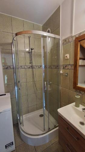 a shower with a glass door in a bathroom at domek w pobliżu jeziora in Czarnówka