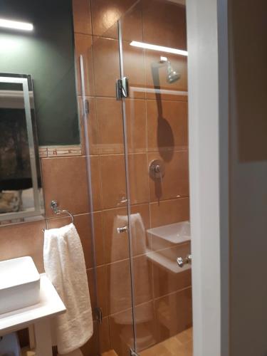 a bathroom with a shower and a sink at Strandloper Room in Cape Town
