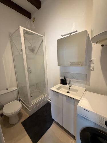 ブールジュにあるSéjour a Bourges avec Parkingのトイレ、洗面台、シャワー付きのバスルーム