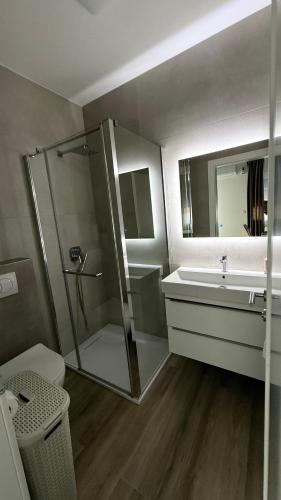 a bathroom with a shower and a sink and a toilet at Apartmani Srdarović in Drage