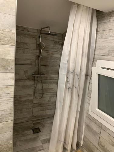 a shower with a shower curtain in a bathroom at Petit appartement dans une maison au calme in Bonneville