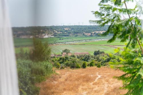 a view of a field from a window at 4Ever Palace Design&Nature in Alcácer do Sal