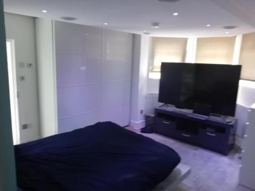 Μια τηλεόραση ή/και κέντρο ψυχαγωγίας στο Bright Double Room w Private Bath Easy Access Free Breakfast