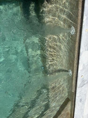 two fish swimming in a pool of water at Greek Sea Villas Kaki Thalassa 400m to the beach ,Athens in Keratea