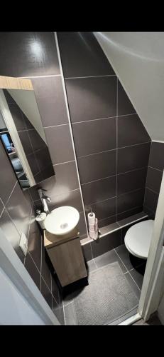 une salle de bain avec toilettes, lavabo et miroir dans l'établissement Appartement BASTILLE/MARAIS Gare Lyon, à Paris