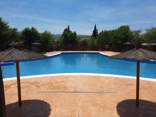 een groot zwembad met twee rieten parasols bij Padul Suites Apartamentos in Padul