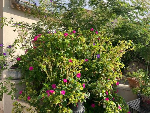 a bunch of flowers in a pot next to a wall at Une Amazone en Povence in Paradou