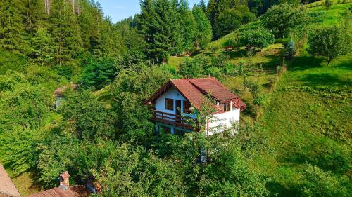 une vue aérienne d'une maison sur une colline dans l'établissement Cabana Vânătorilor, à Poiana Mărului