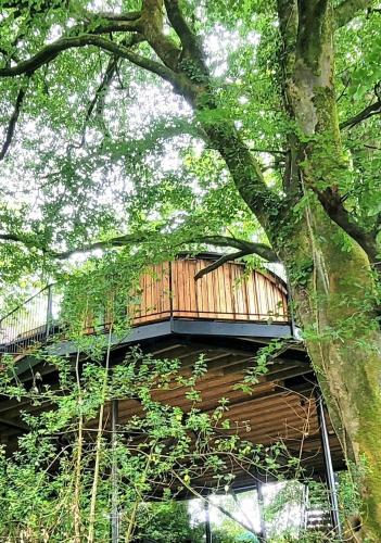 a tree house with a deck on top of it at Treehouse In Devon - riverside woodland hideaway in Beaworthy